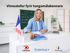 Mynd-med-grein-a-vef-Rannis-snidmat-1429x1080px-1-